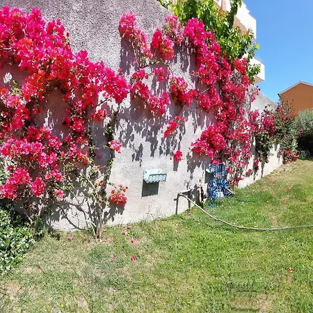 Casa Delle Bouganville Casa de Férias